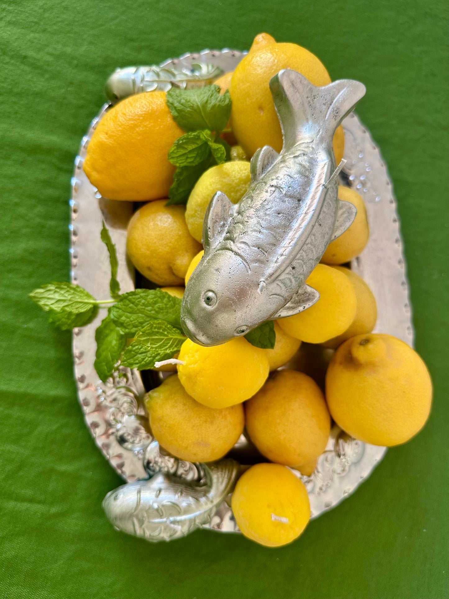 Fisk ljus stor