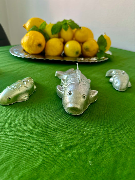 Fisk ljus stor