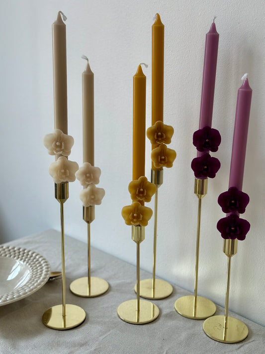 Orkide ljus höga 8h brinntid