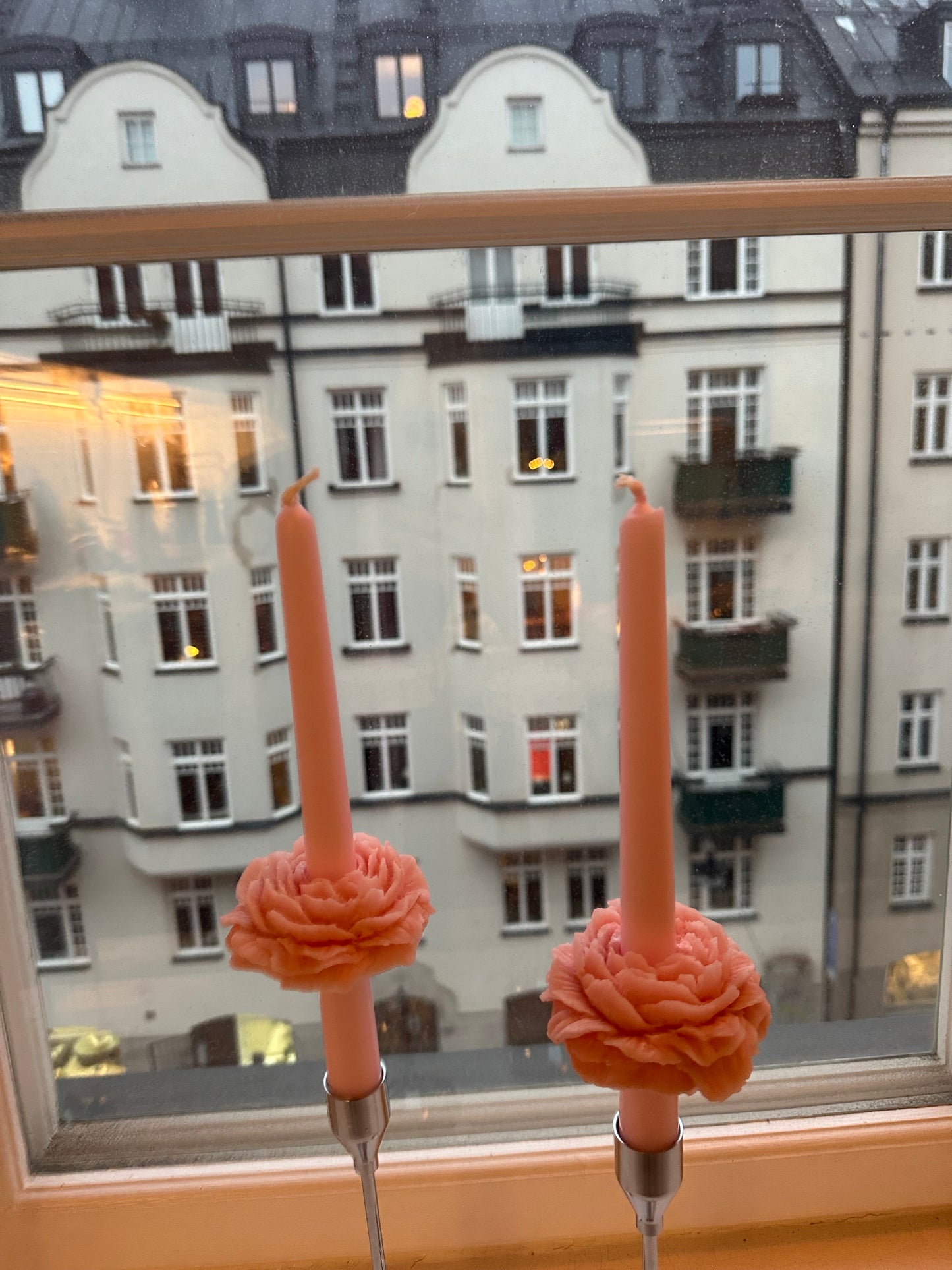 Pion ljus långa